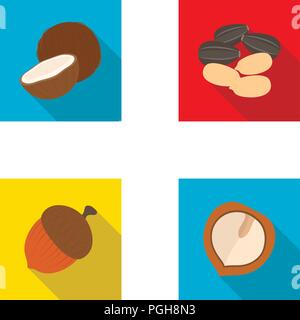 Coconut, acorn, sunflower seeds, manchueian walnut.Different kinds of nuts set collection icons in flat style vector symbol stock illustration . Stock Vector
