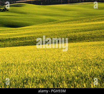 Panoramic landscape view of rolling hills, forests, and fields under