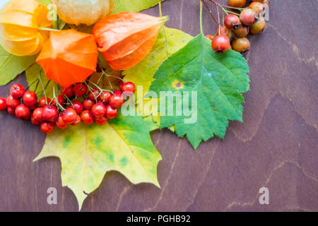 red berriaes and autumn leaves on old wooden background.Colorful leaves and physalis.Autumn thanksgiving Still Life.Fall season concept. Creative seasonal card.Copy space Stock Photo
