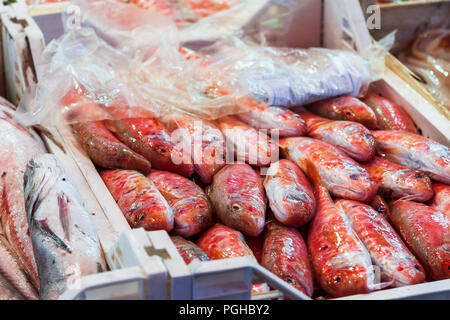 red mullet, fish market, Palermo, Sicily Stock Photo