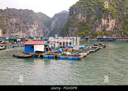 Floating village in Ha Long bay Stock Photo