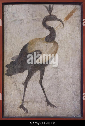 African sacred ibis (Threskiornis aethiopicus) depicted in the Roman fresco from the sanctuary of the Temple of Isis (Tempio di Iside) in Pompeii, now on display in the National Archaeological Museum (Museo Archeologico Nazionale di Napoli) in Naples, Campania, Italy. Stock Photo