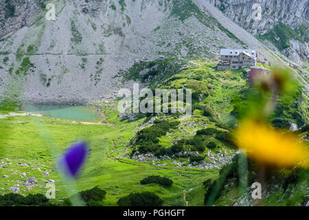 Allgäuer Alpen: mountain hut Prinz-Luitpold-Haus, flowers, Schwaben, Allgäu, Swabia, Bayern, Bavaria, Germany Stock Photo