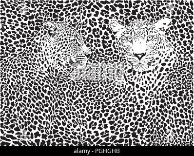 Leopard background Stock Vector