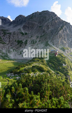 Allgäuer Alpen: mountain hut Prinz-Luitpold-Haus, flowers, summit Wiedemerkopf with main dolomite folding, Schwaben, Allgäu, Swabia, Bayern, Bavaria,  Stock Photo
