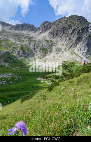 Allgäuer Alpen: mountain hut Prinz-Luitpold-Haus, flowers, summit Wiedemerkopf with main dolomite folding, Schwaben, Allgäu, Swabia, Bayern, Bavaria,  Stock Photo