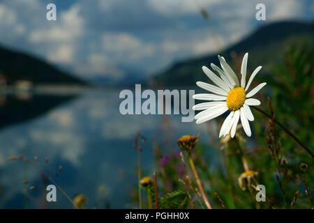 Lake Fedaia at midday in August Stock Photo