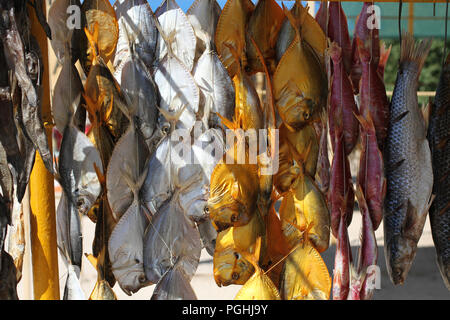 Different types of salted dried fish hanging on ropes on a street market in the south of Ukraine Stock Photo