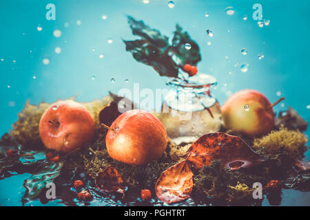 Autumn apples under rain still life. Fall harvest header with water drops and copy space. Red small ranet apples and fallen leaves. Cross process effect Stock Photo