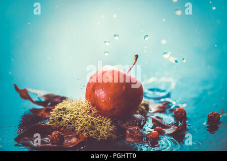 Autumn apples under rain still life. Fall harvest header with water drops and copy space. Red small ranet apples and fallen leaves. Cross process effect Stock Photo