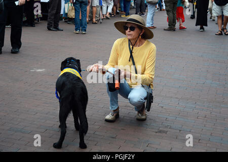 A volunteer puppy raiser for Canine Companions for Independence walks her dog in Santa Fe, New Mexico. Stock Photo
