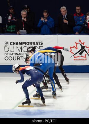 Four female short track speed skaters from the Netherlands, Bosnia and Herzegovina, New Zealand and Serbia crouching at the start of a race in Montrea Stock Photo