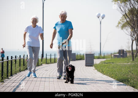 Full length portrait of active senior couple enjoying morning run with pet dog on park, copy space Stock Photo