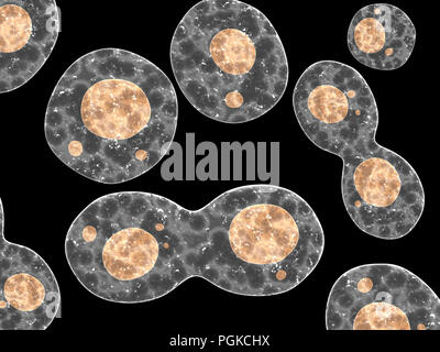 Amoebas isolated on black background. 3d render Stock Photo