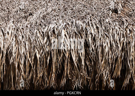 Thatched roof texture Stock Photo