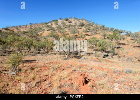 View of part of the land of West Leichhardt cattle station, Queensland, QLD, Australia Stock Photo