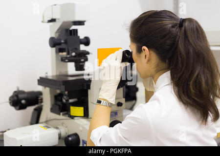 Life science female researcher microscoping in scientific genetic laboratory. Healthcare and biotechnology. Stock Photo