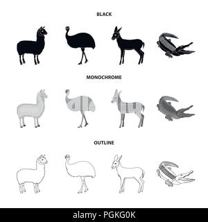 lama, ostrich emu, young antelope, animal crocodile. Wild animal, bird, reptile set collection icons in black,monochrome,outline style vector symbol s Stock Vector