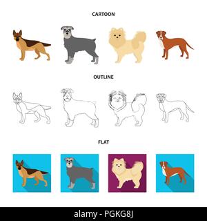 Dog breeds cartoon,outline,flat icons in set collection for design.Dog pet vector symbol stock  illustration. Stock Vector