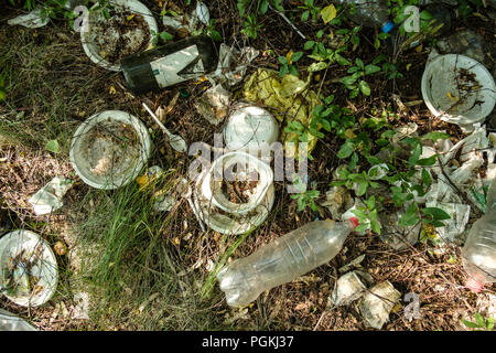 Plastic garbage on nature grows grass. Plastic tableware. Stock Photo