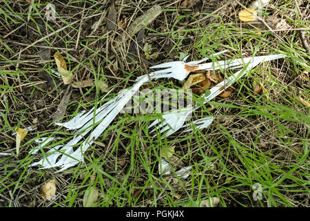 Plastic garbage on nature grows grass. Plastic forks. Plastic tableware. Stock Photo