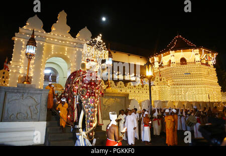 Sri Lanka. 25th Aug, 2018. An elephant decorated for the Esala Perahera festival is lead past Sri Lankan Buddhist Temple of the Tooth in the ancient hill capital of Kandy, some 116 km from Colombo on August 25, 2018. The festival features a night procession of Kandyan dancers, fire twirlers, traditional musicians, acrobatic fire performers and elephants, gathering thousands of tourists and spectators from around the island. Credit: Pradeep Dambarage/Pacific Press/Alamy Live News Stock Photo