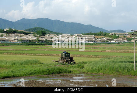 An old tractor in a rice field with workers' housing in the background, North Korea Stock Photo