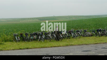 Row of workers bicycles parked in a line by a rice field, North Korea Stock Photo