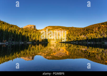 Aspen trees in fall colors at Bear Lake in the Rocky Mountain National Park, Colorado, USA Stock Photo