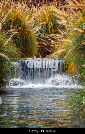 Puritama hot springs near San Pedro d' Atacama, Chile Stock Photo