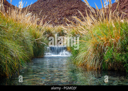 Puritama hot springs near San Pedro d' Atacama, Chile Stock Photo