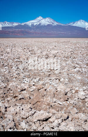Atacama salar,  snowy Andes mountain range in the background, Chile Stock Photo