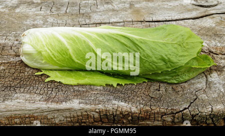 Romaine lettuce (Lactuca sativa var. longifolia).Suzanne's vegetable garden, Le Pas, Mayenne, Pays de la Loire, France. Stock Photo