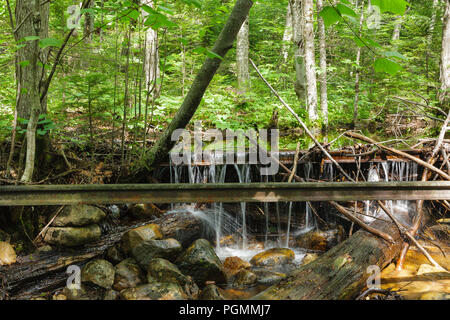 Railroad track along an abandoned spur line of the East Branch & Lincoln Railroad deep in the Pemigewasset Wilderness of Lincoln, New Hampshire. This  Stock Photo