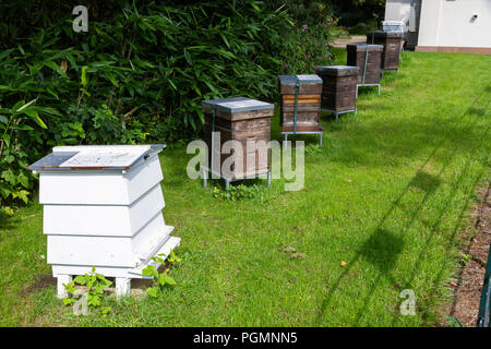 Beehives outside Dower House, Heaton Park, home to the Manchester and District Beekeepers Association. Stock Photo