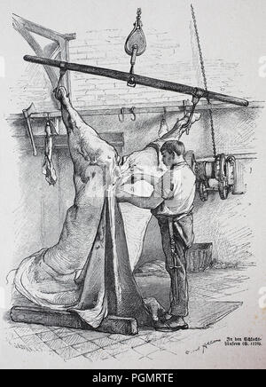 butcher, slaughterhouse in Berlin, Germany, digital improved reproduction of a woodcut from the year 1880 Stock Photo