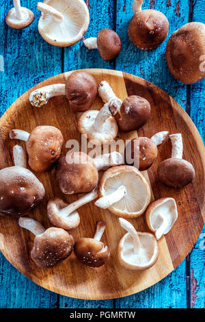 Shiitake Mushrooms Stock Photo