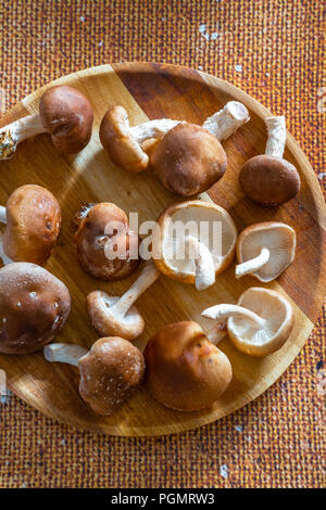 Shiitake Mushrooms Stock Photo