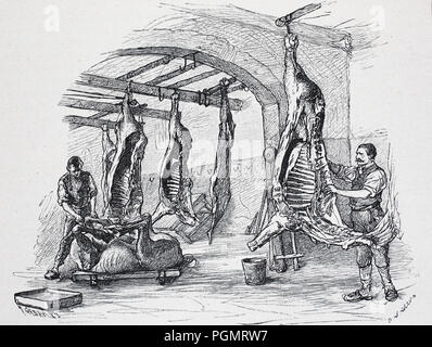 horse butcher, slaughterhouse in Berlin, Germany, digital improved reproduction of a woodcut from the year 1880 Stock Photo