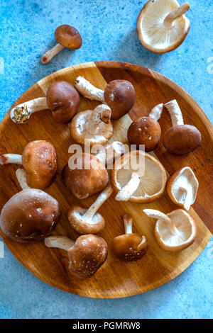 Shiitake Mushrooms Stock Photo