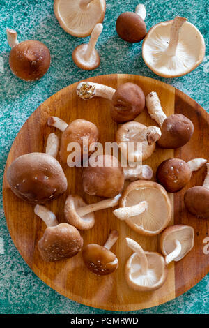 Shiitake Mushrooms Stock Photo