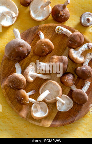 Shiitake Mushrooms Stock Photo