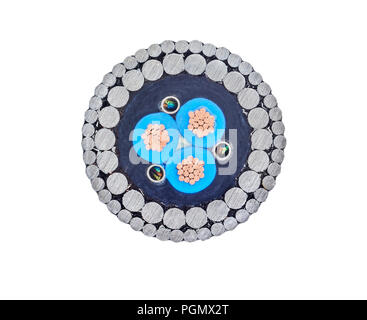 cross section armored cable isolated on white Stock Photo