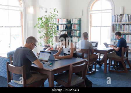 Adults using laptop computers in the Provincetown, Massachusetts public library. Stock Photo