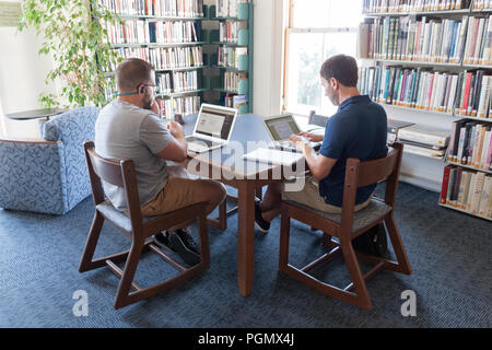 Adults using laptop computers in the Provincetown, Massachusetts public library. Stock Photo