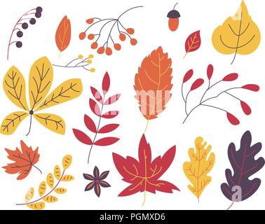 Autumn leaves vector illustration collection Stock Vector