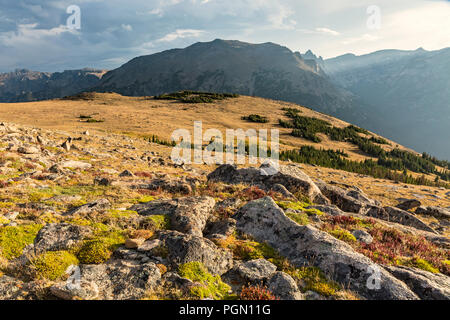 Alpine tundra on the Ute Crossing Trail looking  toward Stones Peak and the Continental Divide off Trail Ridge Road in Rocky Mountain National Park, C Stock Photo
