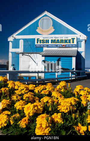 Satellite Fish Co, Ltd. Fish Market - Sidney, Vancouver Island, British Columbia, Canada Stock Photo