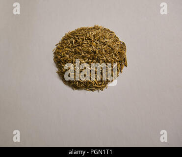 A small heap of grass seeds on a white piece of paper Stock Photo