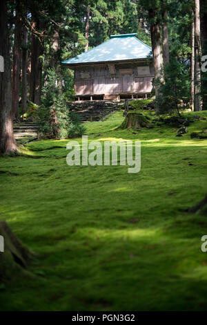 A blanket of moss covers the grounds of Hakusan Heisenji Shrine in Katsuyama, Fukui Prefecture, Japan on Oct. 4, 2016. The shrine, which is better kno Stock Photo